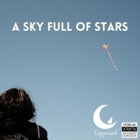 A Sky Full of Stars
