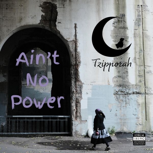 Cover art for Ain't No Power